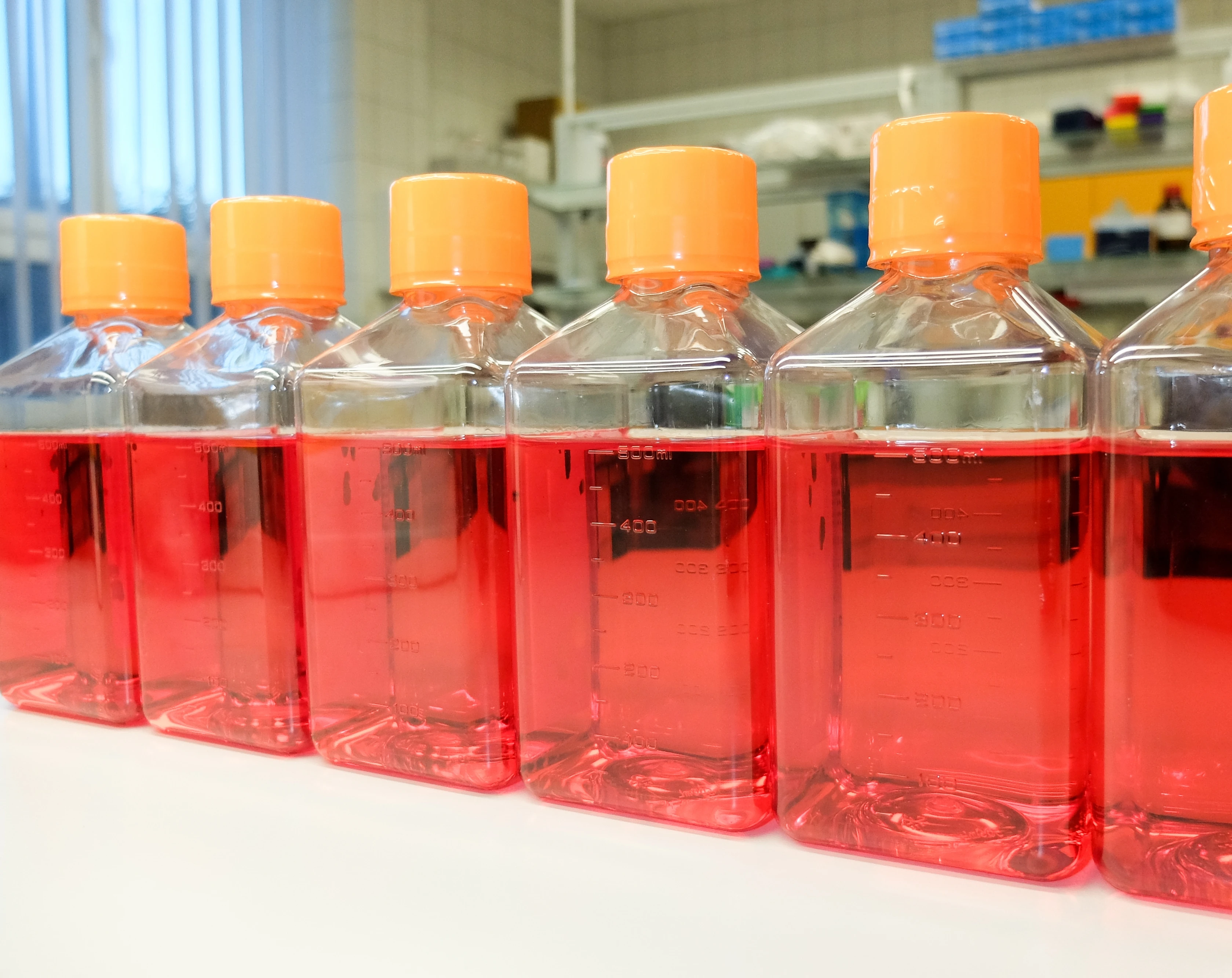 Cell Culture